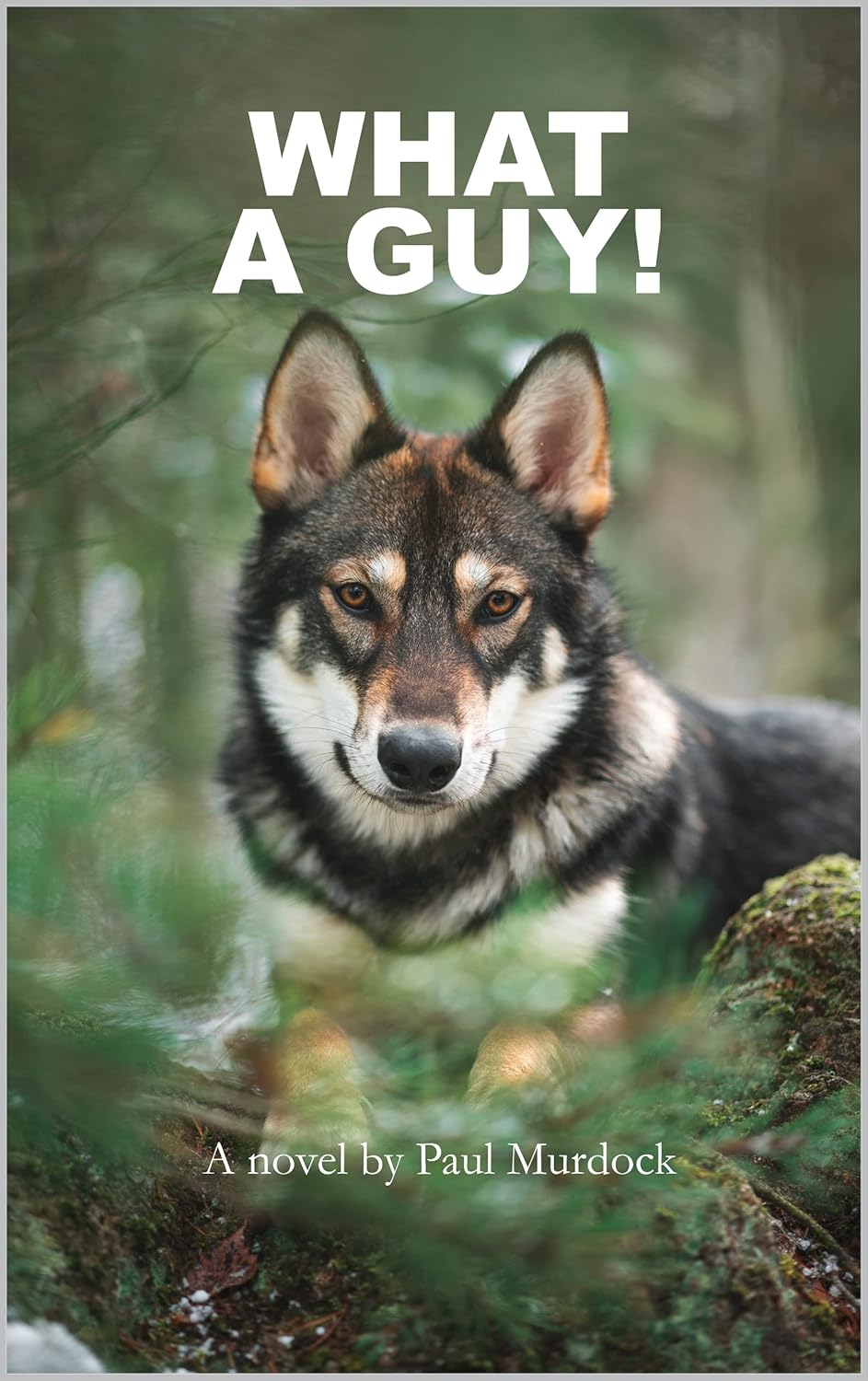 What a Guy book cover